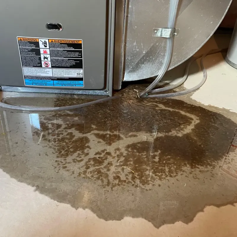Appliance Leak Cleanup in Greenback, TN