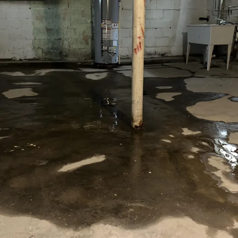 Emergency Water Extraction And Removal in Greenback, TN